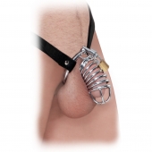 Кольцо верности Extreme Chastity Belt с фиксацией головки - Pipedream - купить с доставкой в Туле