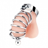 Серебристая клетка для члена Urethral Play Cage - BlueLine - купить с доставкой в Туле