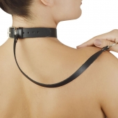 Леопардовый меховой ошейник с кожаным поводком - Sitabella - купить с доставкой в Туле