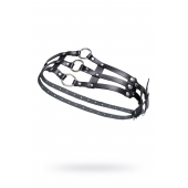 Черный кожаный пояс с кольцами - Pecado - купить с доставкой в Туле