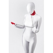 Красный ошейник с подкладкой из меха - ToyFa - купить с доставкой в Туле