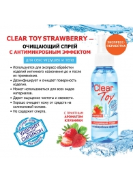 Очищающий спрей для игрушек CLEAR TOY Strawberry - 100 мл. - Биоритм - купить с доставкой в Туле