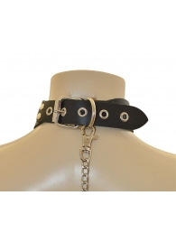 Ошейник  Веселый Роджер - Sitabella - купить с доставкой в Туле