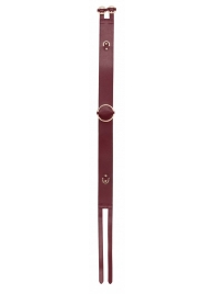 Бордовый ремень Halo Waist Belt - размер L-XL - Shots Media BV - купить с доставкой в Туле