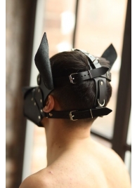 Эффектная маска собаки с металлическими заклепками - БДСМ Арсенал - купить с доставкой в Туле