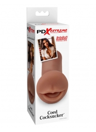 Мастурбатор-ротик Coed Cocksucker - Pipedream - в Туле купить с доставкой