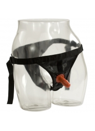 Трусики со штырьком для фиксации насадок Ultra Harness with Plug - Doc Johnson - купить с доставкой в Туле