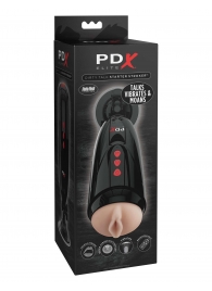 Мастурбатор-вагина с вибрацией Dirty Talk Starter Stroker - Pipedream - в Туле купить с доставкой