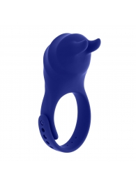 Синее эрекционное виброкольцо с клиторальной подушечкой и пультом ДУ Adjustable Fun Ring - Zero Tolerance - в Туле купить с доставкой