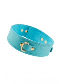 Голубой кожаный однослойный ошейник с прошивкой - Pecado - купить с доставкой в Туле