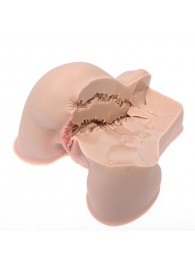 Мастурбатор-полуторс Naked Factory Kate - Naked Factory - в Туле купить с доставкой