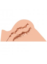 Мастурбатор-полуторс Naked Factory Hannah - Naked Factory - в Туле купить с доставкой