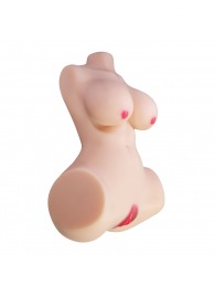 Мастурбатор-торс Aveline с 2 любовными тоннелями - Baile - в Туле купить с доставкой