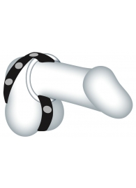 Подхват для мошонки с 3 съемными эрекционными кольцами Leder-Riemen - Orion - в Туле купить с доставкой