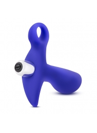 Синий стимулятор простаты с ручкой-кольцом Performance Prostimulator 02 - Blush Novelties - в Туле купить с доставкой