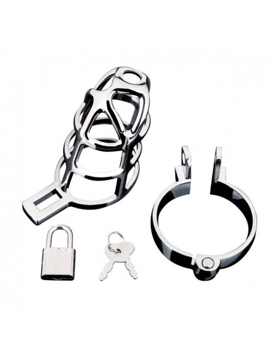 Серебристая металлическая клетка для члена с замком Enslave Cock Cage - BlueLine - купить с доставкой в Туле