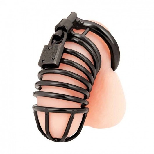 Черная металлическая клетка с замком Deluxe Chastity Cage - BlueLine - купить с доставкой в Туле