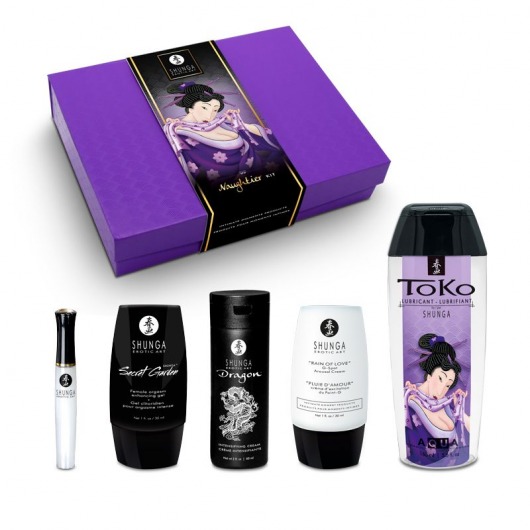 Подарочный набор Naughter Kit - Shunga - купить с доставкой в Туле