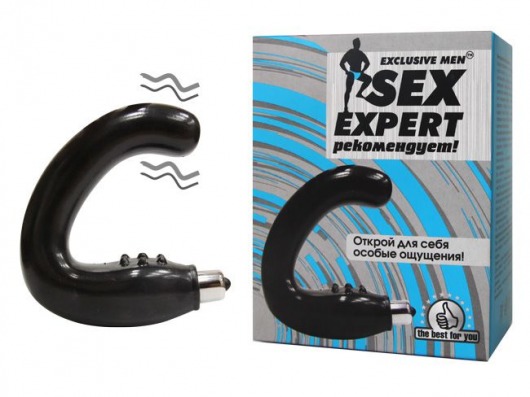 Чёрный массажёр простаты серии Sex Expert - Sex Expert - в Туле купить с доставкой