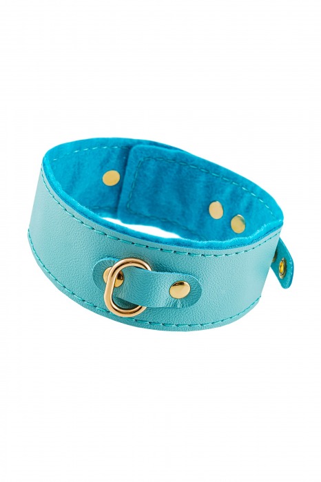 Голубой двуслойный кожаный ошейник с подкладкой из фетра - Pecado - купить с доставкой в Туле