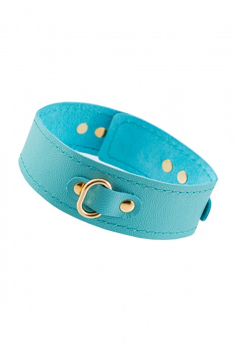 Голубой кожаный однослойный ошейник с прошивкой - Pecado - купить с доставкой в Туле