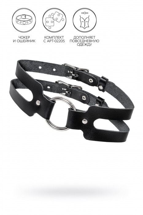 Черный кожаный чокер-ошейник из двух ремешков - Pecado - купить с доставкой в Туле