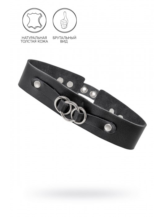 Черный чокер-ошейник со связанными кольцами на подложке - Pecado - купить с доставкой в Туле