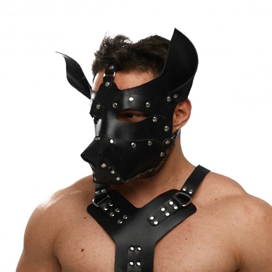 Черная кожаная маска «Собака» - Crazy Handmade - купить с доставкой в Туле