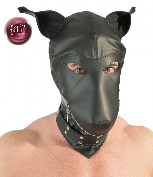 Шлем-маска Dog Mask в виде морды собаки - Orion - купить с доставкой в Туле