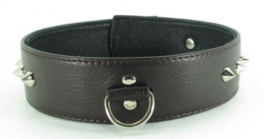 Коричневый кожаный ошейник с кольцом увеличенного размера - БДСМ Арсенал - купить с доставкой в Туле