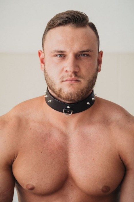 Коричневый кожаный ошейник с кольцом увеличенного размера - БДСМ Арсенал - купить с доставкой в Туле