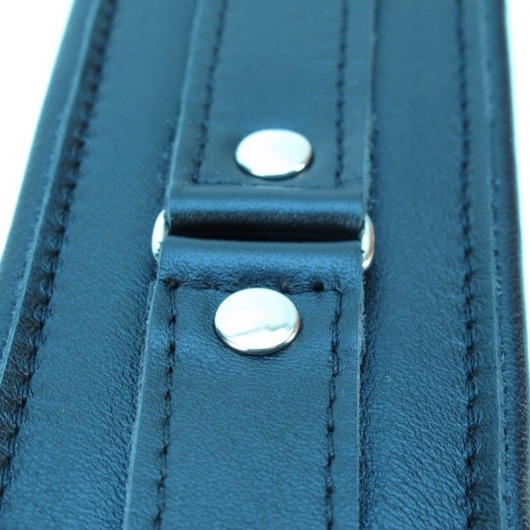 Ошейник из гладкой кожи - БДСМ Арсенал - купить с доставкой в Туле