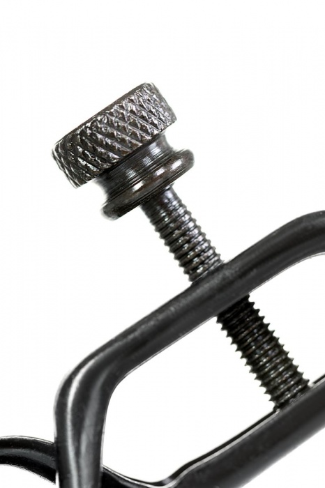 Черно-золотистые зажимы для сосков TOYFA Theatre - ToyFa - купить с доставкой в Туле